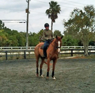 West Wind in Florida, ridden by Kaitlin Spurlock