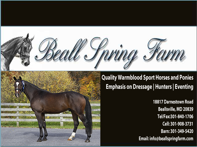 Beall Spring Farm - A Sport Horse Facility in Beallsville, MD breeding Swedish Warmbloods and Welshcross Sport Ponies